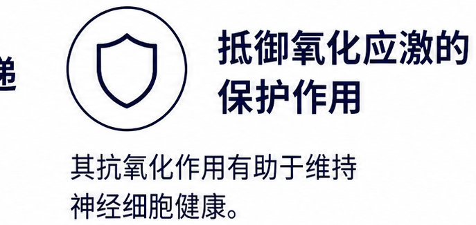 抵御氧化应激的保护作用