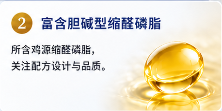 2. 富含胆碱型缩醛磷脂