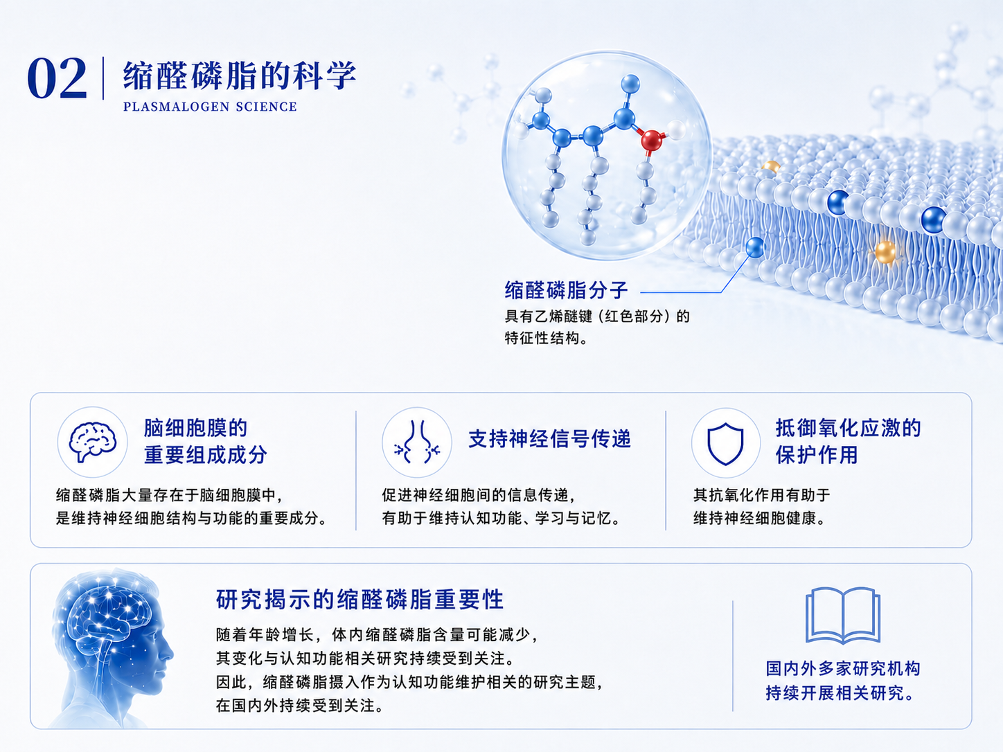 缩醛磷脂的科学研究图示