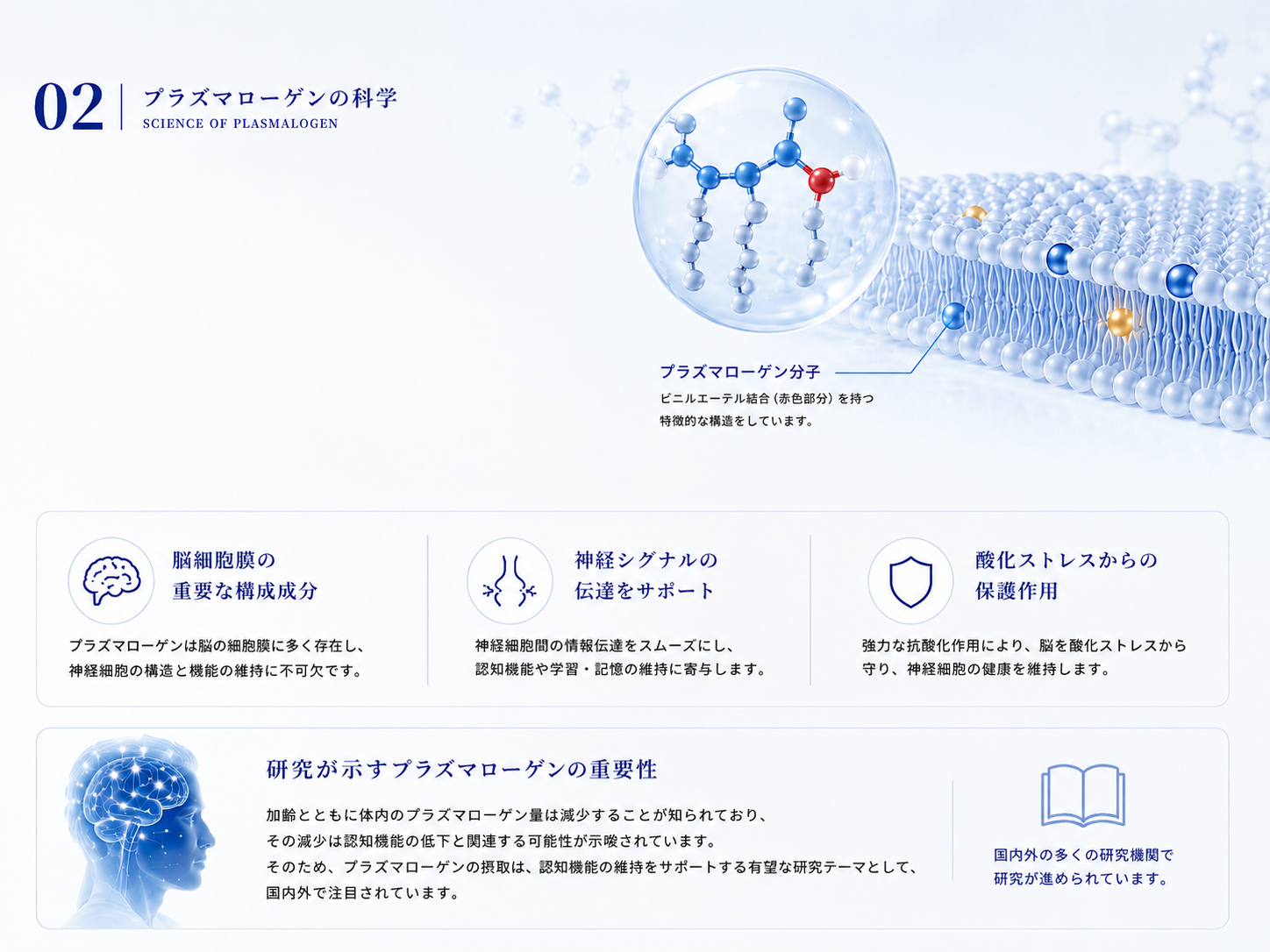 プラズマローゲン分子と研究資料