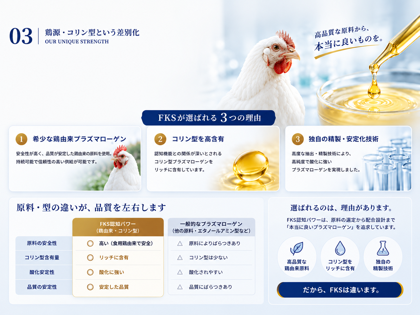 鶏由来プラズマローゲンの原料と製品設計